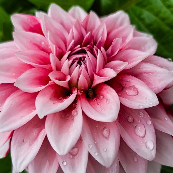 Meet your Posher, Mary - Picture 9 of 16